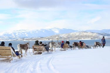 Sami culture experience with 15-minute reindeer sledding